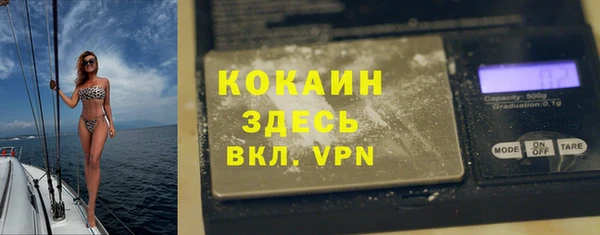 ешки Бородино