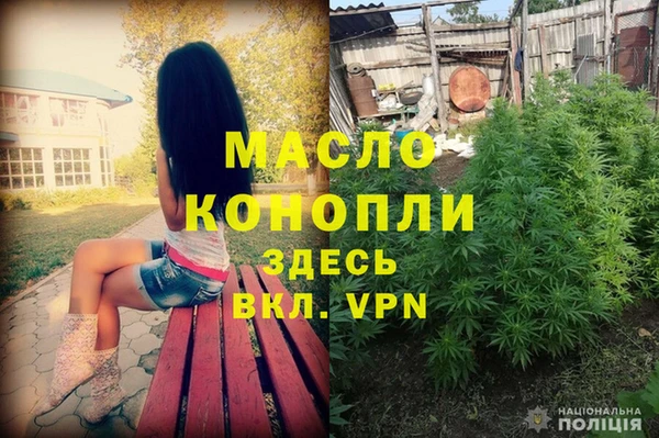 ешки Бородино