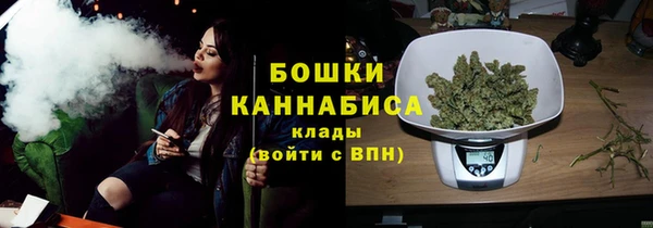 ешки Бородино