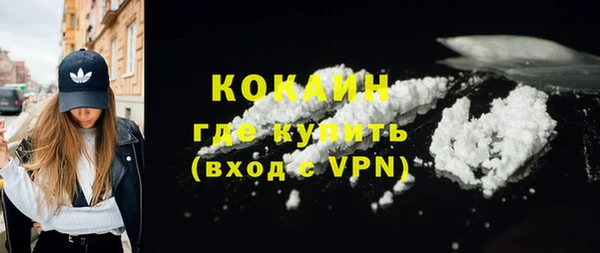 ешки Бородино