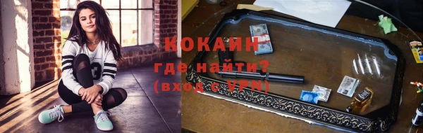 ешки Бородино