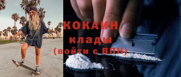 ECSTASY Белокуриха