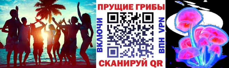 Псилоцибиновые грибы Psilocybe  Обь 
