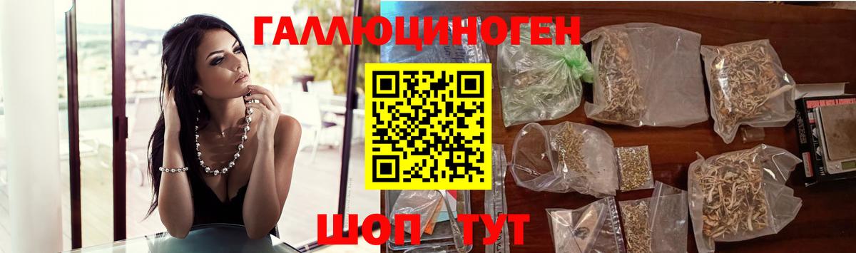 Галлюциногенные грибы Psilocybe Обь